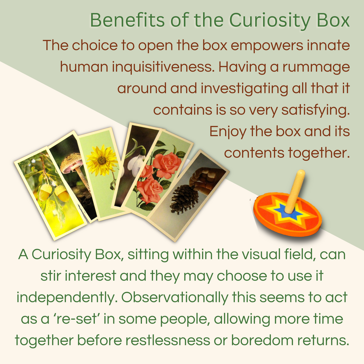 Curiosity Box Ultimate Fidget Gift for Engaging Dementia Care